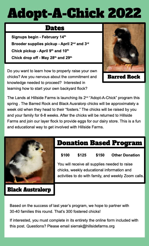 Adopt-A-Chick 2022 program